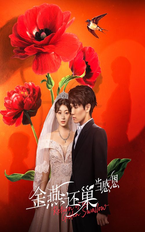 短剧 《金燕还巢当感恩》 高清完整全集免费在线观看无广告，金燕还巢时感恩  第1张