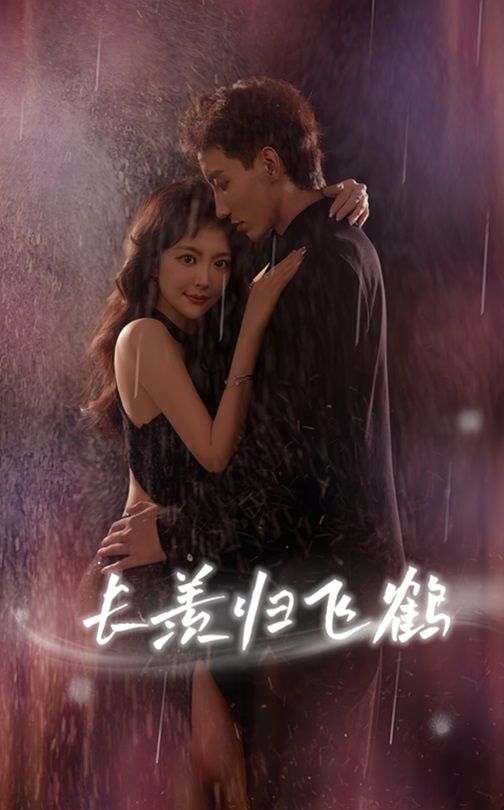 短剧 《长羡归飞鹤》 HD 高清全集完整版免费在线看，长羡归飞鹤高清原版剧情全集