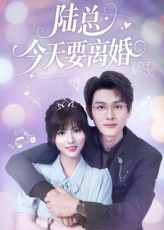 短剧 《陆总今天要离婚》 高清无删减全集完整版免费在线播放，陆总离婚高清全集在线观看  第1张