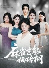 短剧 《麻雀岂能栖梧桐》 高清全集完整版在线观看免费，麻雀的生存之旅 - 纵观高清全集  第1张