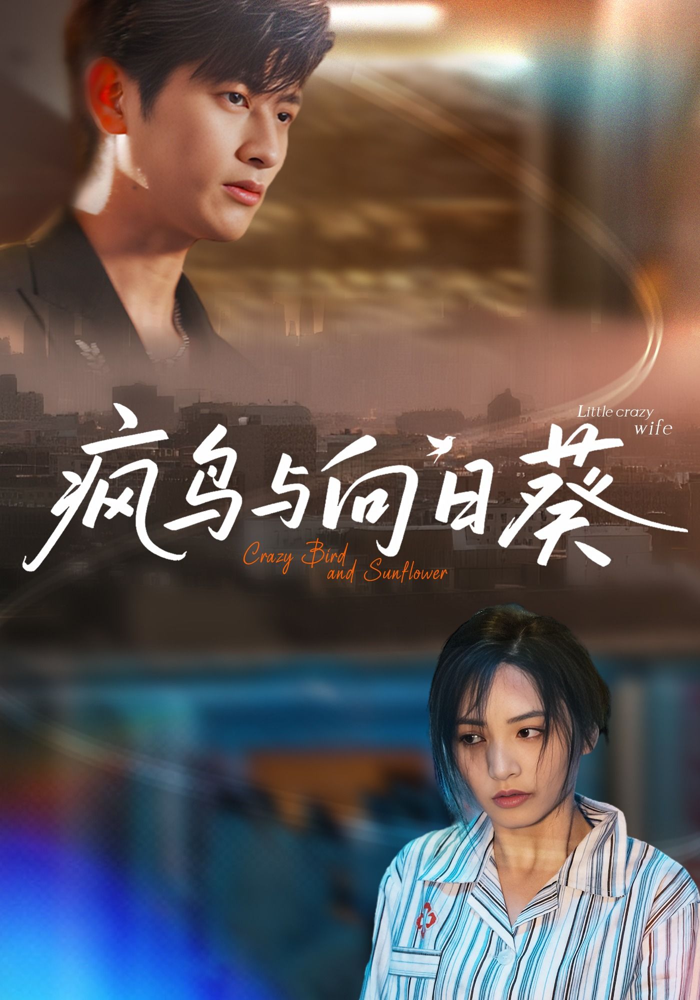 短剧 《疯鸟与向日葵》 超高清全集完整版免费在线播放  第1张 短剧 《疯鸟与向日葵》 超高清全集完整版免费在线播放  第1张