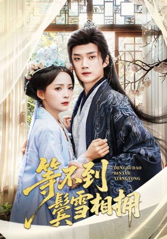 短剧 《等不到鬓雪相拥》 超高清无删减全集完整版免费在线看  第1张 短剧 《等不到鬓雪相拥》 超高清无删减全集完整版免费在线看  第1张