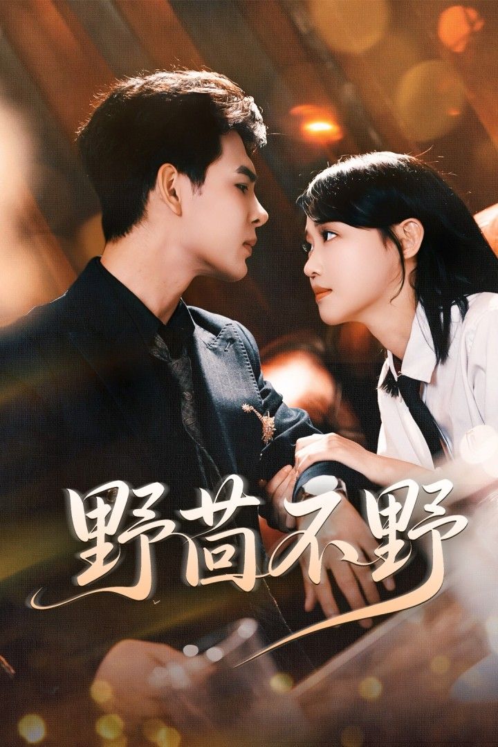 短剧野茴不野高清完整全集无删减版,在线免费播放,即刻追更!  第1张 短剧野茴不野高清完整全集无删减版,在线免费播放,即刻追更!  第1张