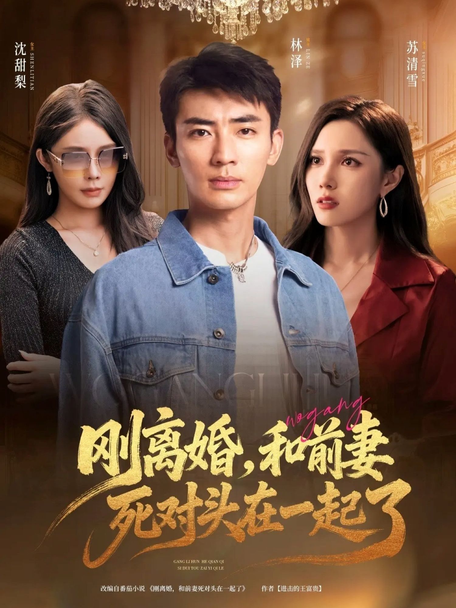短剧刚离婚和前妻死对头在一起在线观看1080P高清完整全集  第1张