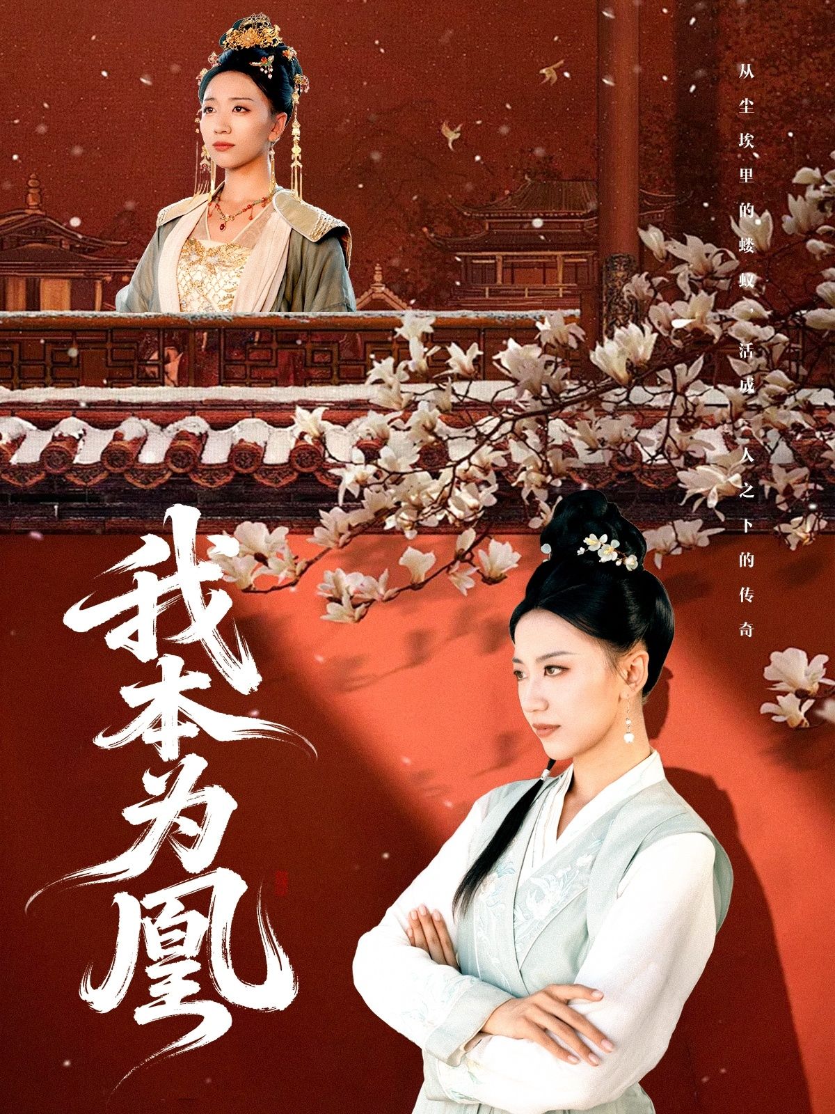 热门短剧我本为凰1080P超清高清画质,完整全集在线播放,无广告立即畅享全集观看  第1张 热门短剧我本为凰1080P超清高清画质,完整全集在线播放,无广告立即畅享全集观看  第1张