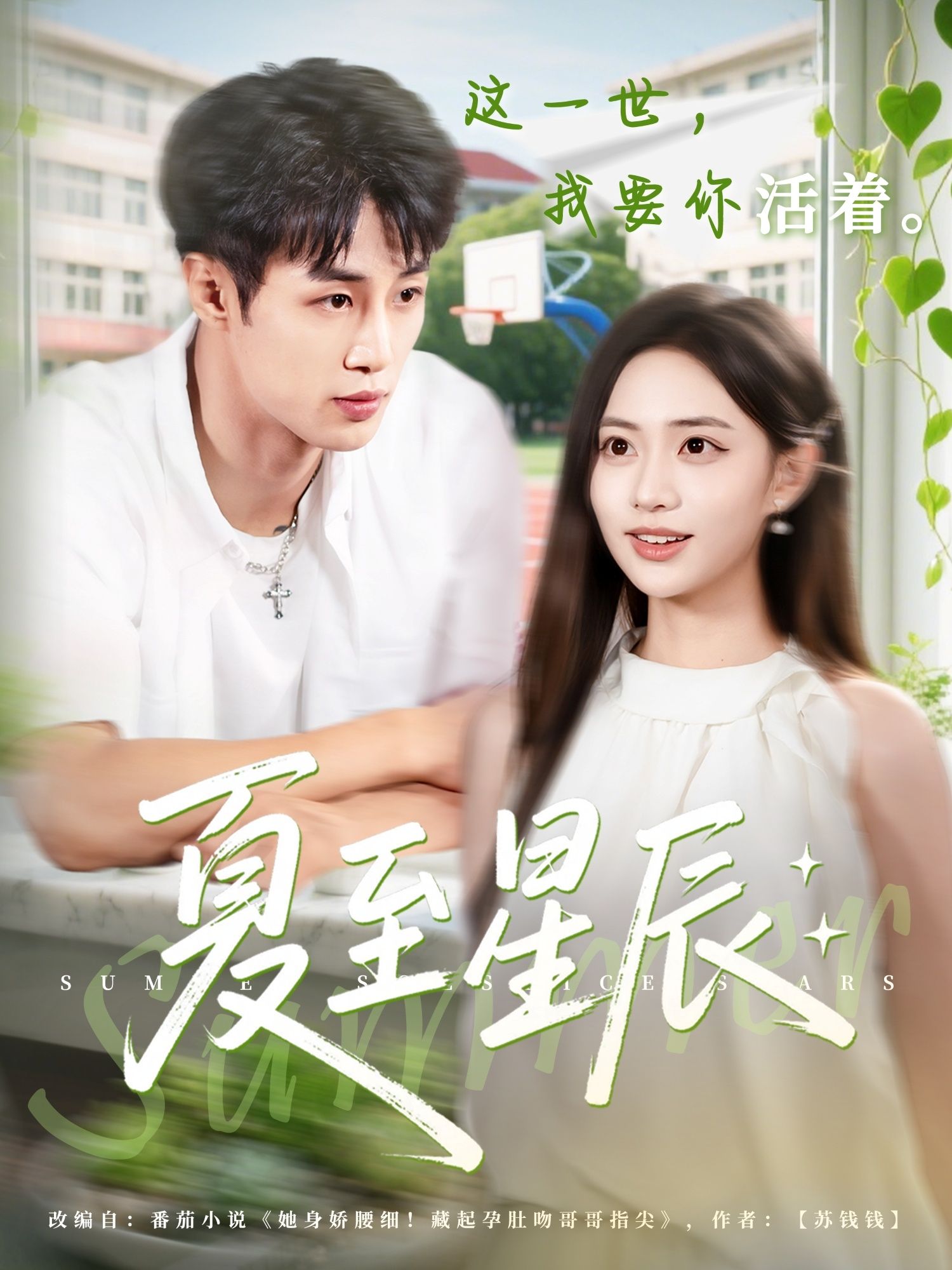 夏至星辰高清无删减全集完整版,在线观看全剧,尽享夏日浪漫与星辰故事。  第1张 夏至星辰高清无删减全集完整版,在线观看全剧,尽享夏日浪漫与星辰故事。  第1张