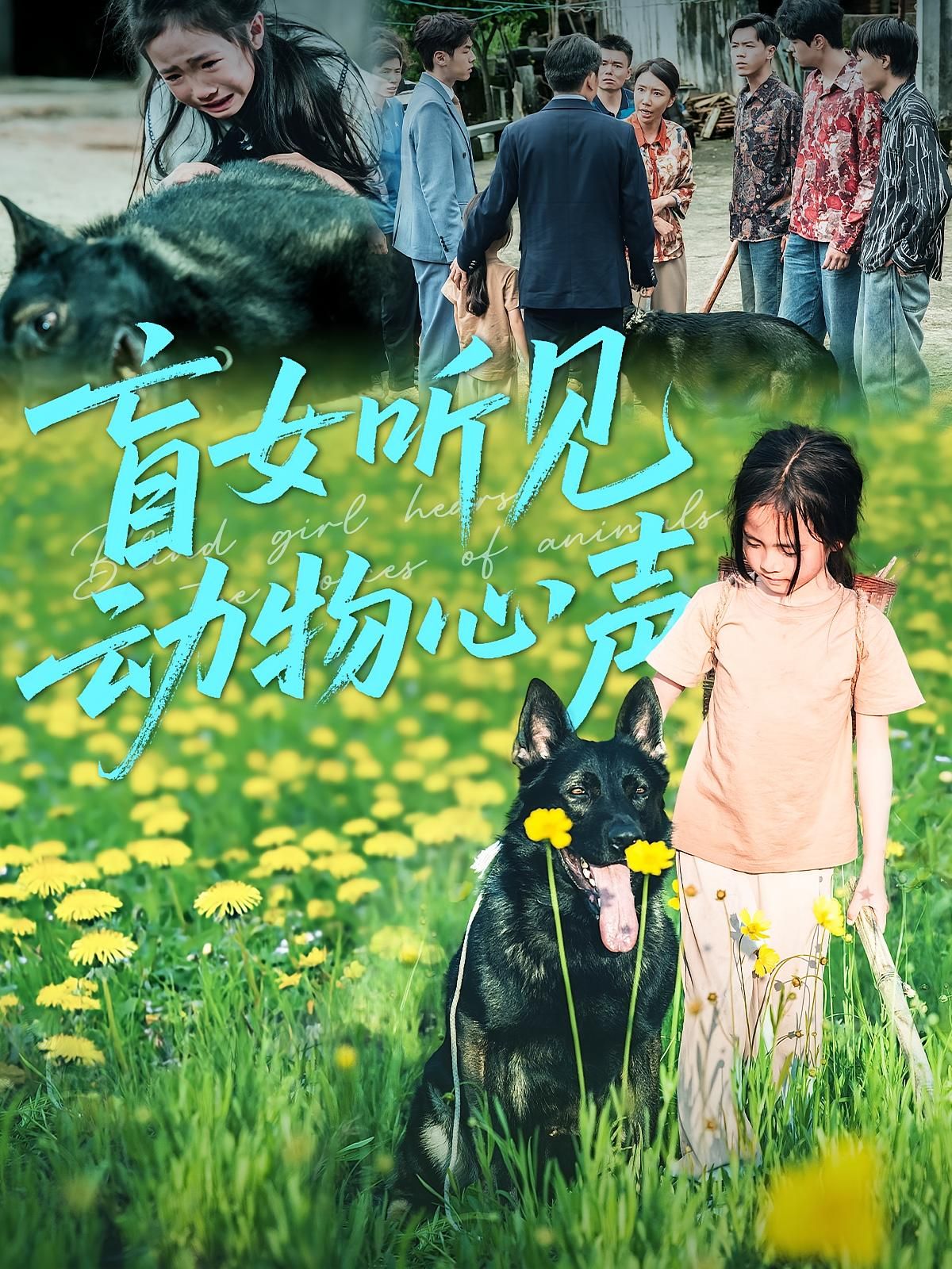 盲女听见动物心声!高清完整全集无删减版,在线观看,暖心治愈短剧。  第1张 盲女听见动物心声!高清完整全集无删减版,在线观看,暖心治愈短剧。  第1张