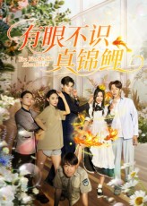 短剧 《有眼不识真锦鲤》 免费在线看高清全集无删减版