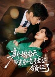 短剧新婚当天带崽崽和乞丐老公领证了在线播放高清完整全集无删减版  第1张