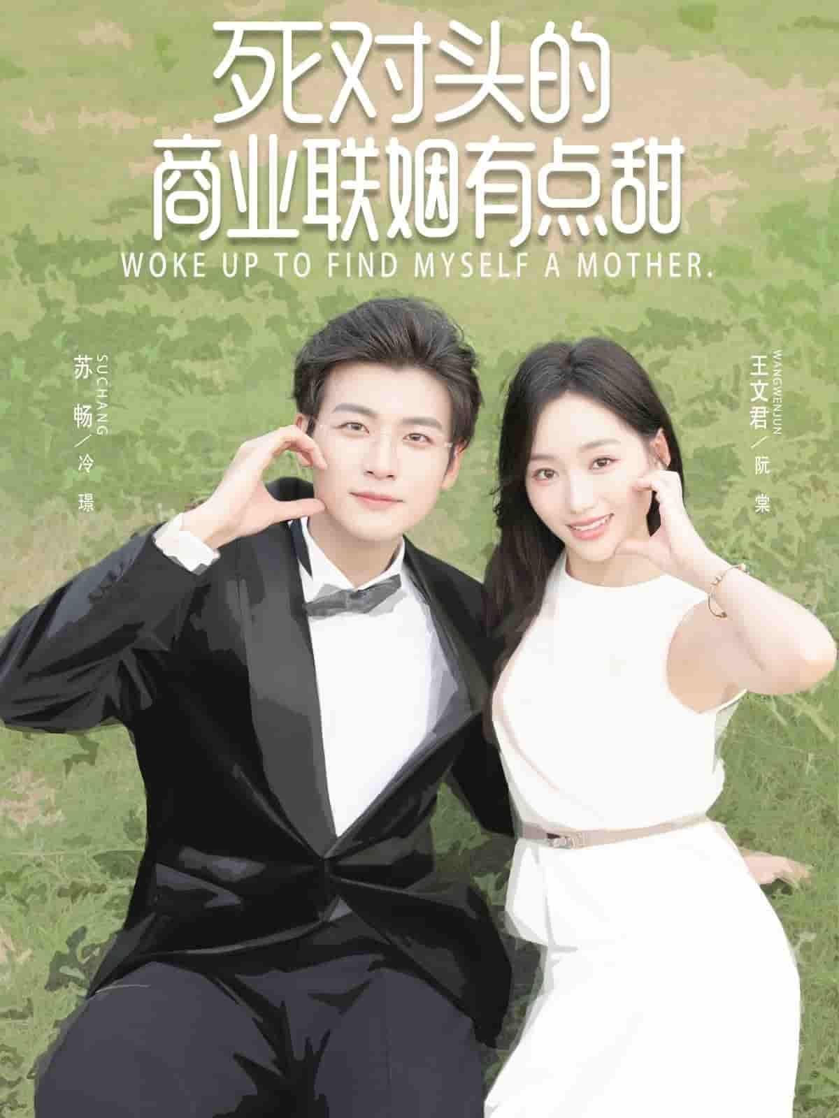 短剧死对头的商业联姻有点甜高清全集无删减，宿敌联姻超甜宠，在线播放畅看。