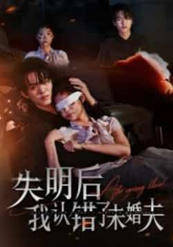 热门短剧失明后我认错了未婚夫全集完整版高清未删减，百度夸克网盘免费在线观看下载资源。
