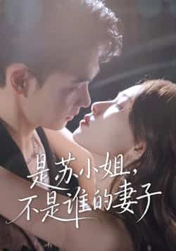 热门短剧是苏小姐不是谁的妻子全集完整未删减版免费无广告在线观看，百度/夸克网盘资源分享下载。