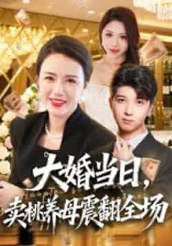 热门短剧大婚当日,卖桃养母震翻全场全集完整版实时更新免费观未删减,百度夸克网盘免费资源分享下载。