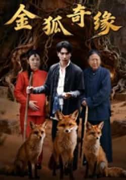 热门短剧金狐奇缘全集完整免费无水印在线观看,未删减百度网盘夸克网盘资源分享下载。  第1张 热门短剧金狐奇缘全集完整免费无水印在线观看,未删减百度网盘夸克网盘资源分享下载。  第1张