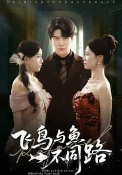 飞鸟与鱼不同路全集完整版免费无卡顿在线观看,未删减版百度网盘、夸克网盘免费资源分享下载。  第1张 飞鸟与鱼不同路全集完整版免费无卡顿在线观看,未删减版百度网盘、夸克网盘免费资源分享下载。  第1张