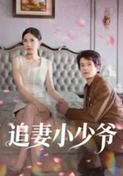 热门短剧追妻小少爷全集完整未删减版,极速免费在线观看播放,百度夸克网盘免费资源分享下载。