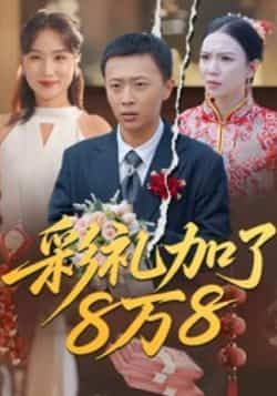 热门短剧彩礼加了8万8全集完整版未删减,纯净免费在线播放观看,百度夸克网盘免费资源分享下载。