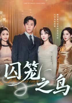 热门短剧囚笼之鸟全集完整版免费在线观看未删减,百度网盘、夸克网盘免费分享下载。