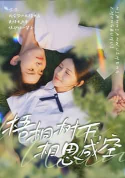 热门短剧梧桐树下,相思成空完整版全集未删减,免费在线观看,百度夸克网盘资源分享下载。