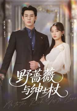 热门短剧野蔷薇与绅士杖全集完整版免费无卡顿在线观看，未删减版百度夸克网盘资源分享下载。