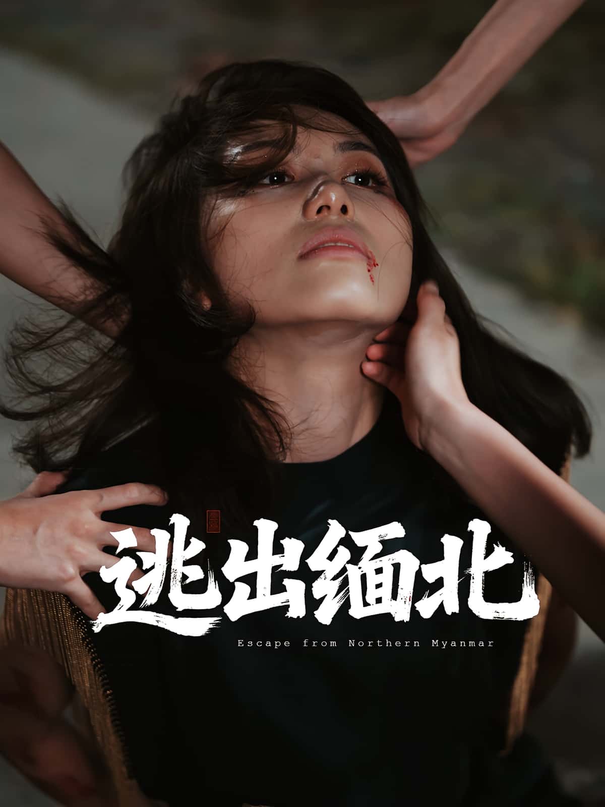 短剧 《逃出缅北》 高清完整全集无删减版免费在线看  第1张 短剧 《逃出缅北》 高清完整全集无删减版免费在线看  第1张